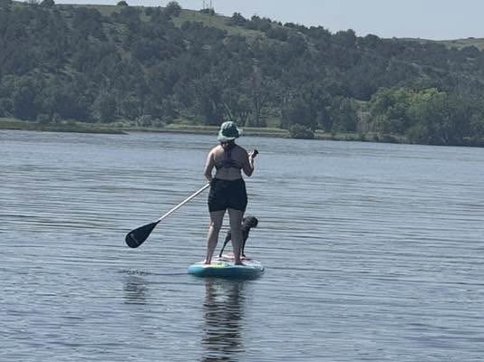 Clear the Mechanism: Finding Stillness in a Noisy World