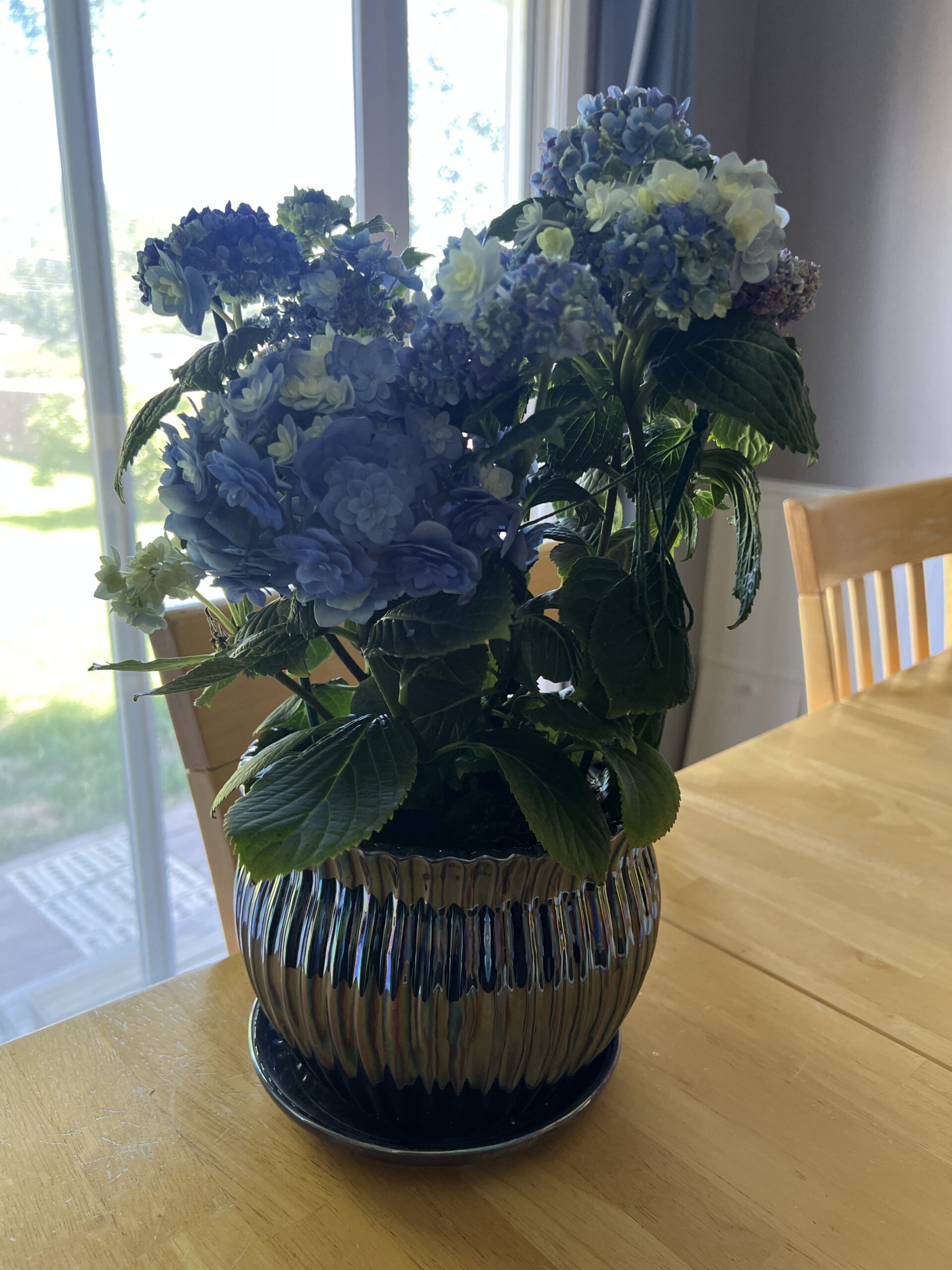 Infinite Supply: More Than One Way to Be Loved