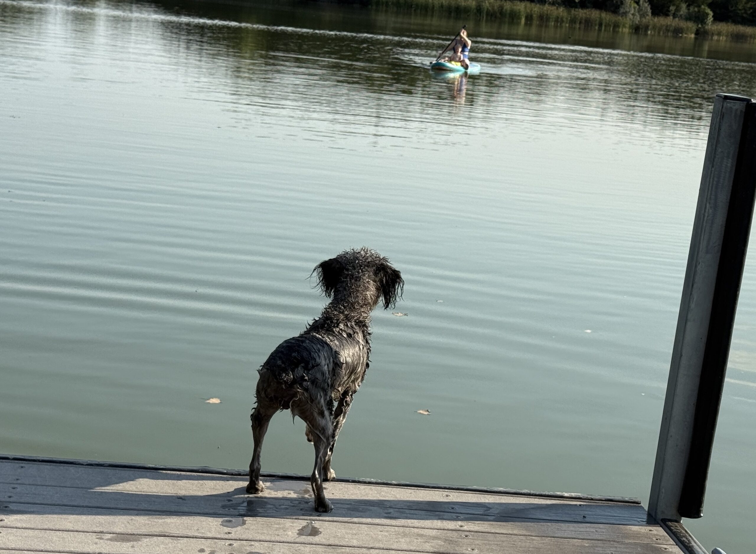 The Glass-Like Lake: Choosing to Get Un-Disturbed