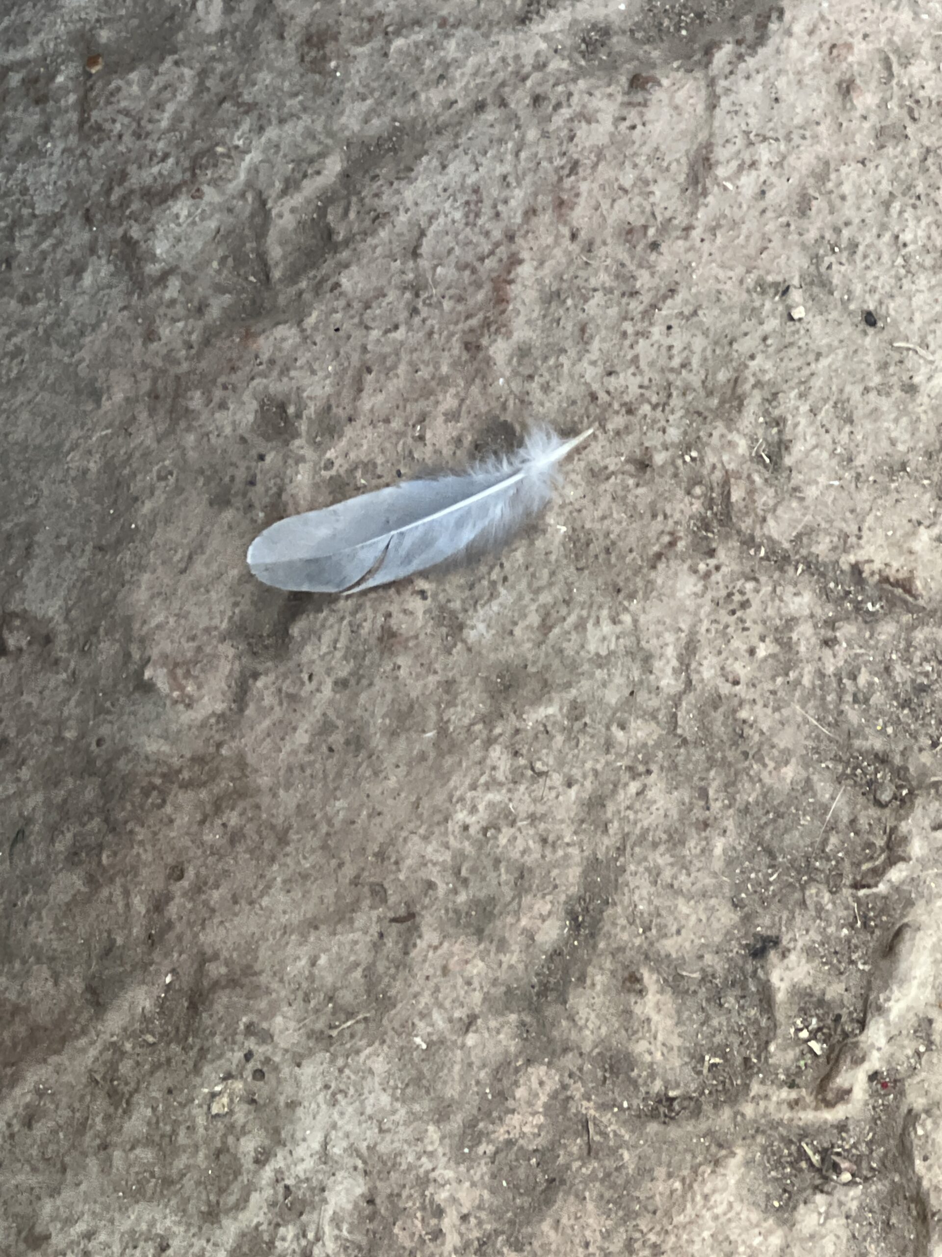 When Anxiety Knocks, Love Answers