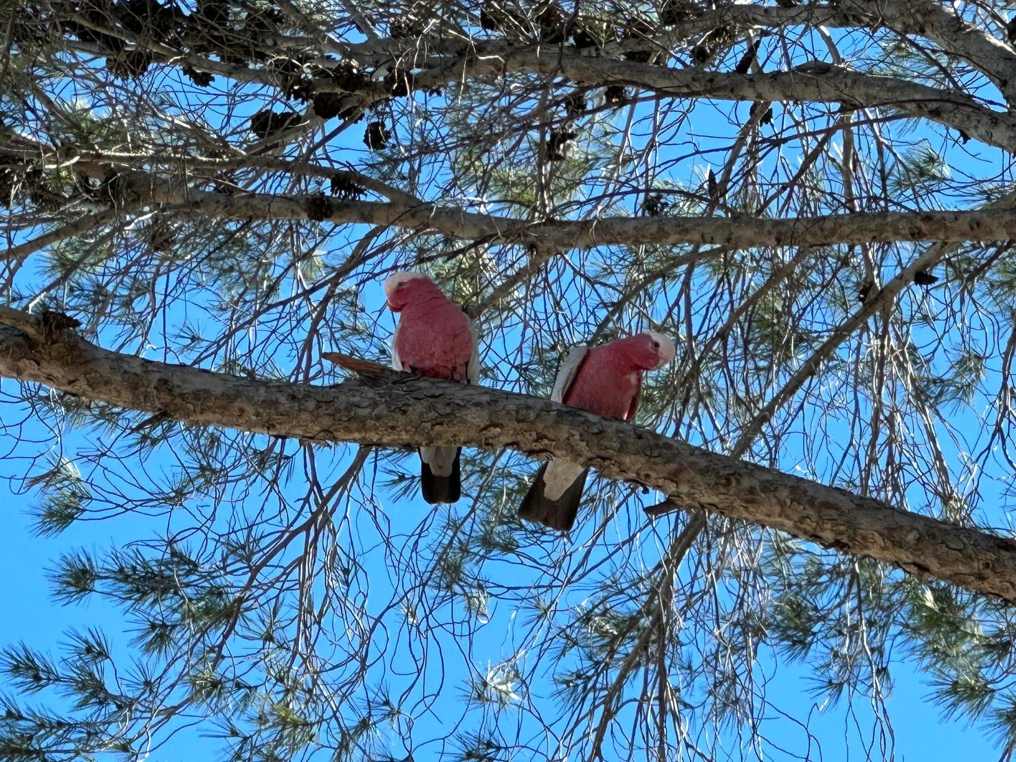 When Love Doesn’t Require Agreement